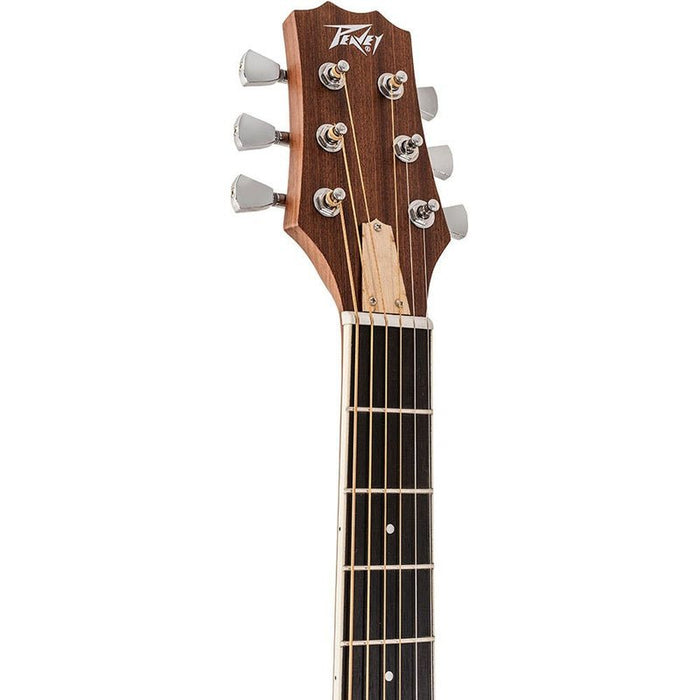 Peavey DW2 Delta Woods Series Dreadnought Acoustic Guitar (PVDW2S) - Gsus4
