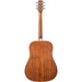 Peavey DW2 Delta Woods Series Dreadnought Acoustic Guitar (PVDW2S) - Gsus4