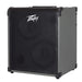 Peavey MAX Series "MAX300" Bass Amp Combo 300-Watt 2x10" (PVMAX300) - Gsus4