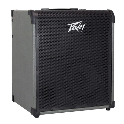Peavey MAX Series "MAX300" Bass Amp Combo 300-Watt 2x10" (PVMAX300) - Gsus4