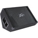 Peavey PV Series "PV15M" Passive 500W, 15" Floor Monitor (PV15M) - Gsus4