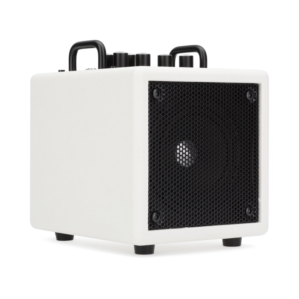 Phil Jones Bass X4C NANOBASS 35W 1 x 4