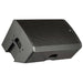 Proel DIVA15A Powered 15″ PA Speaker (DIVA15A) - Gsus4