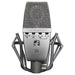 sE Electronics T2 Condenser Microphone (SEE-T2) - Gsus4