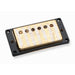 Seymour Duncan Antiquity Humbucker Neck Gold Cover (1200153) - Gsus4
