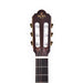 Sigma CTMC2E Classical Cutaway with EQ