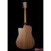 Sigma DMC-STE+ Dreadnought Cutway with Electronics