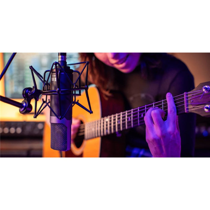 Slate Digital | ML - 1A V2 | Modeling Condenser Microphone (SS-SLATE-ML1-V2) - Gsus4