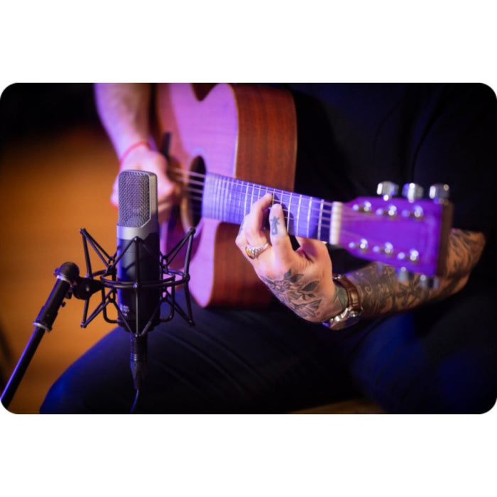 Slate Digital | ML - 1A V2 | Modeling Condenser Microphone (SS-SLATE-ML1-V2) - Gsus4