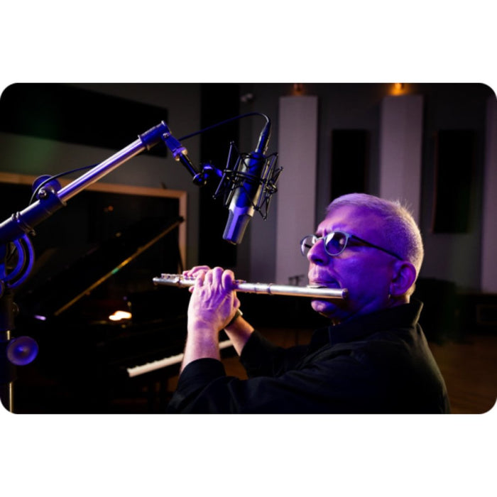 Slate Digital | ML - 1A V2 | Modeling Condenser Microphone (SS-SLATE-ML1-V2) - Gsus4