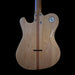 Solace Instruments NZ Southern Deluxe Tasmanian Blackwood & Roasted Maple Neck w/ P90s (Solace Instruments Southern Deluxe - Blonde) - Gsus4