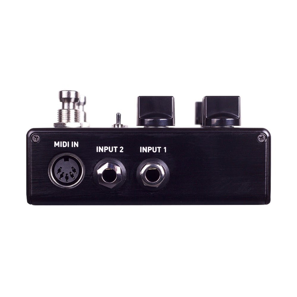 Source Audio Rear Source Audio ENCOUNTER Ambient Stereo Delay & Reverb Pedal - Gsus4