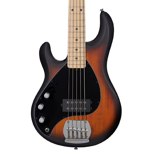 Sterling Ray 5 Left Hand - Vintage Sunburst - Maple Neck (RAY5LH-VSBS-M1) - Gsus4
