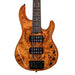 Sterling Stingray Poplar Burl RAY35 HH - Amber - Roasted Maple (RAY35HHPB-AM-R2) - Gsus4