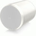 Tannoy OCV6WH Pendant Speaker White