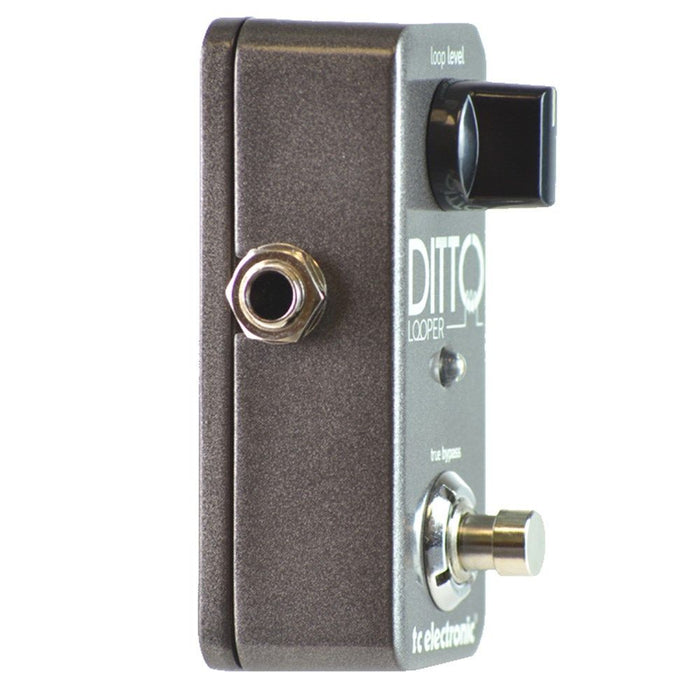 TC Electronic | Ditto Mini | Looper (455020) - Gsus4