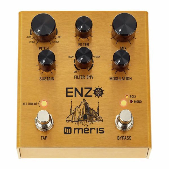 MERIS | Enzo | Multi-Voice Instrument Synthesizer Pedal