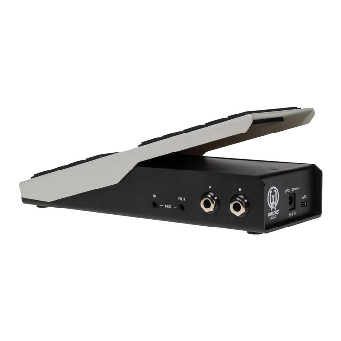Walrus Canvas Dual Expression Pedal w/ USB-C MIDI