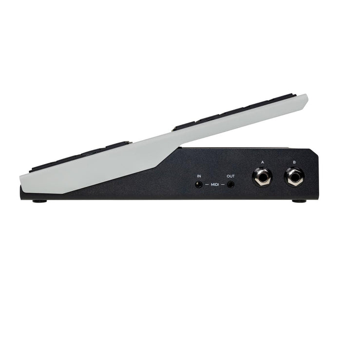 Walrus Canvas Dual Expression Pedal w/ USB-C MIDI