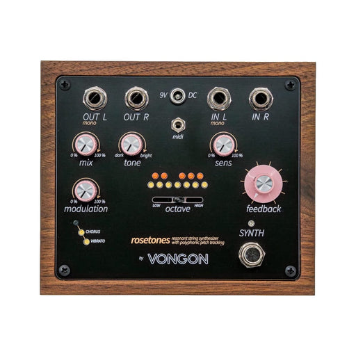 Vongon | Rosetones | Resonant String Synthesizer w/ Polyphonic Pitch Tracking (AUD-VG-RT) - Gsus4