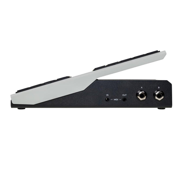 Walrus Canvas Dual Expression Pedal w/ USB-C MIDI (Walrus-ExpressionPedal) - Gsus4
