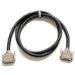 Warm Audio Premier Series DB25 to DB25 Cable 20ft (WAR-PREM-DB25-DB25-20ft) - Gsus4