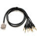 Warm Audio Premier Series DB25 to TRS Cable 20ft (WAR-PREM-DB25-TRSm-20ft) - Gsus4