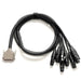 Warm Audio Premier Series DB25 - XLR Female DB25 Cable 6ft (WAR-PREM-DB25-XLRf-6ft) - Gsus4