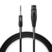 Warm Audio Pro Series XLR f to TRSm 6ft 1.8m Cable (WAR-PRO-XLRfTRSm6ft) - Gsus4