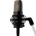 Warm Audio WA14 Condenser Microphone (WAR-WA14) - Gsus4