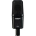 Warm Audio WA14 Condenser Microphone (WAR-WA14) - Gsus4