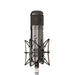 Warm Audio WA47T Condsensor Microphone (Titanium) (WAR-WA47T) - Gsus4