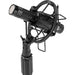 Warm Audio WA84 Small Diaphragm Condenser Mic (Black - Single) (WAR-WA84B) - Gsus4