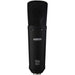 Warm Audio WA87 R2 Condenser Microphone (Black) (WAR-WA87R2B) - Gsus4