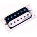 Wilkinson Zebra Double Coil Pickup in Black/White- Neck (WVHZN) - Gsus4