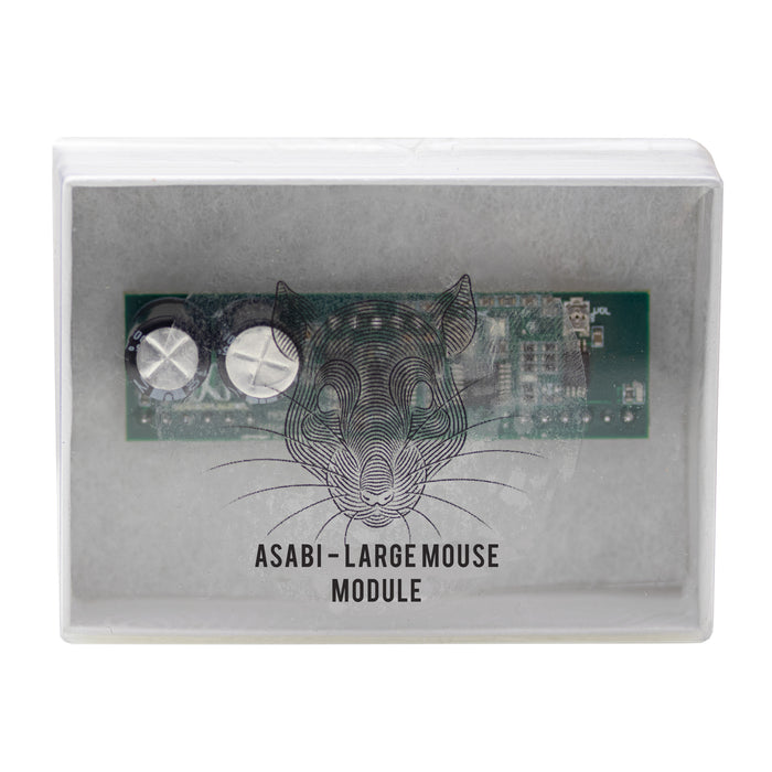 Jackson Audio | LARGE MOUSE Plug-in | Analog Plug-in Module for ASABI Overdrive/Distortion Pedal