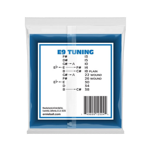 Ernie Ball | Pedal Steel 10 - String E9 Tuning Stainless Steel Wound | ELECTRIC Guitar Strings | 13 - 38 | P02504 (P02504) - Gsus4