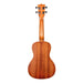 Kala KA - C Satin Mahogany Concert Ukulele (KA - C) - Gsus4