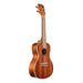 Kala KA - C Satin Mahogany Concert Ukulele (KA - C) - Gsus4
