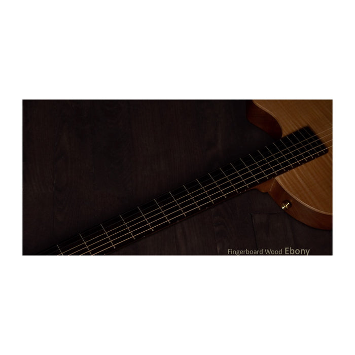 Healer Acoustic Custom Chamber Guitar HAC-1 SB - Gsus4